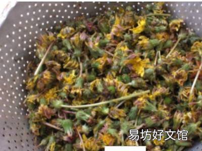 婆婆丁花怎么晒干