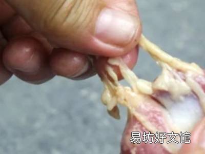 鸡胗怎么清洗