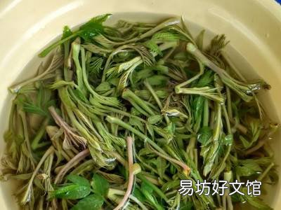 香椿芽怎么吃法