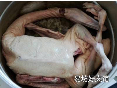 鹅怎么吃