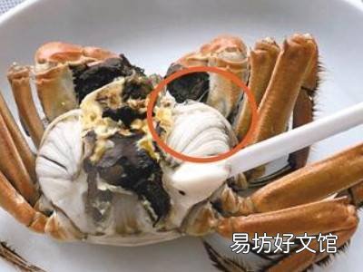 螃蟹怎么剥开吃