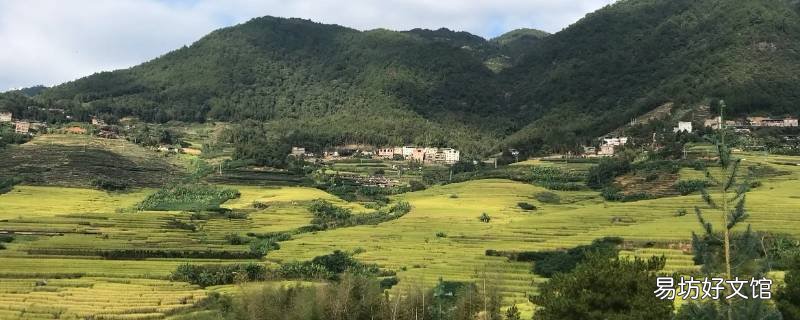 石井菊江码头在哪里