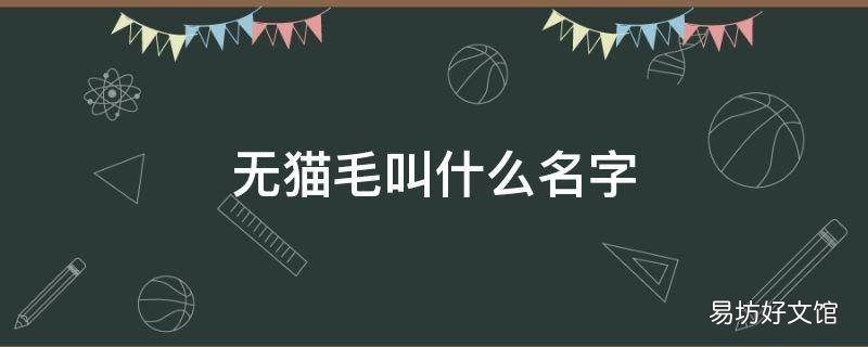 无猫毛叫什么名字