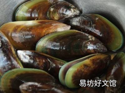 蓝口贝怎么吃