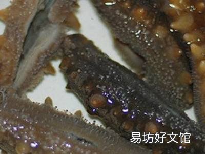 干海参怎么做好吃又简单方便