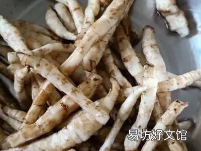 虫草参怎么吃