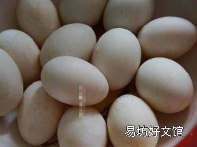 咸鸭蛋怎么做好吃又简单