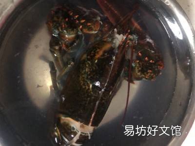 大龙虾怎么吃的方法