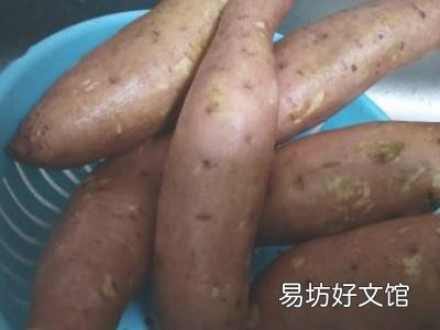 怎么煮红薯