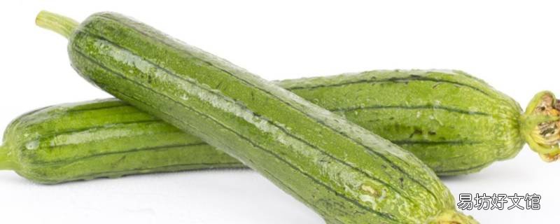 肉丝瓜怎么做好吃
