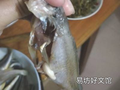 小黄鱼怎么清理