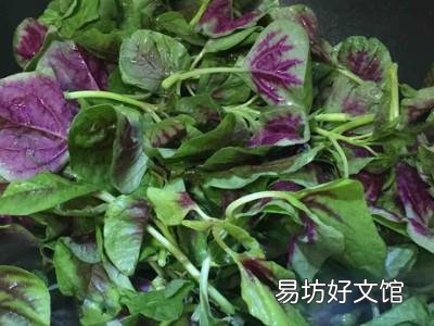 小米菜怎么做好吃