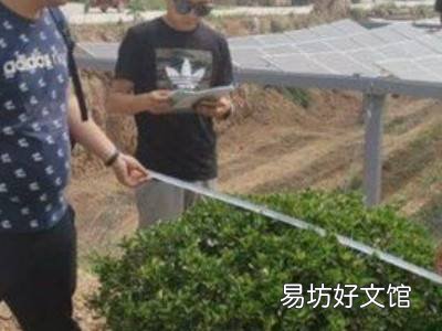 冠幅怎么测量