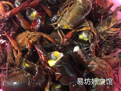 龙虾要煮多久才熟
