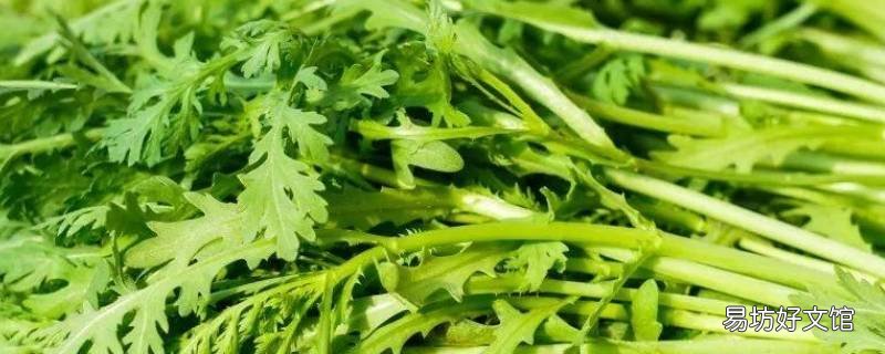 茼蒿怎么炒菜好吃又简单
