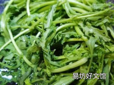茼蒿怎么炒菜好吃又简单