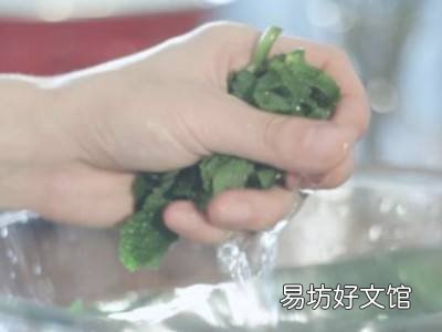 薄荷叶怎么晒干
