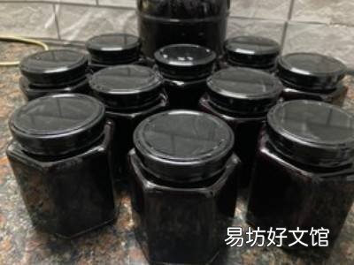 家庭自制桑葚膏的方法