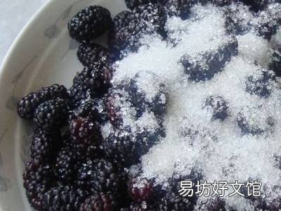 桑果怎么洗
