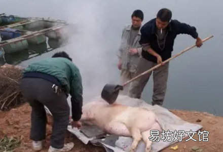 2023年腊月初一杀猪好不好