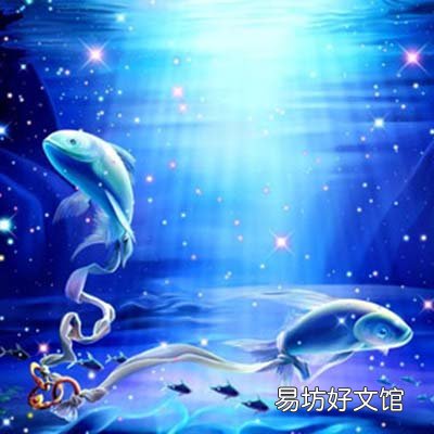 爱上了就不后悔 不计较个人得失的星座？