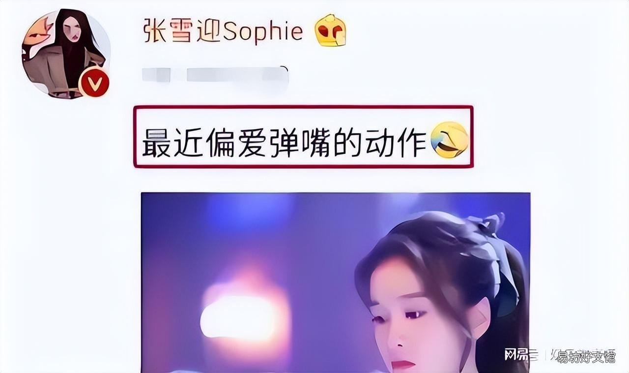 张雪迎胡辣汤事件