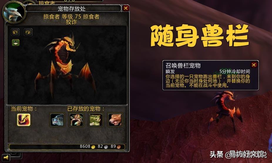 魔兽世界最新猎人宠物玩法详解 魔兽世界猎人宠物攻略