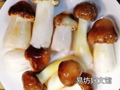 松茸做法