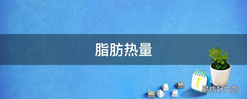 脂肪热量