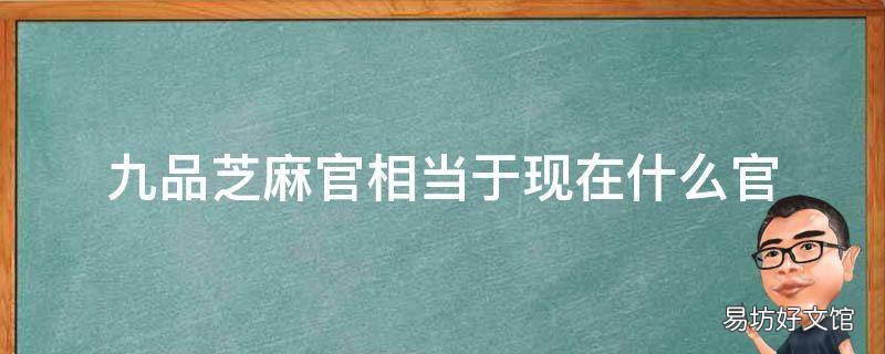 九品芝麻官相当于现在什么官