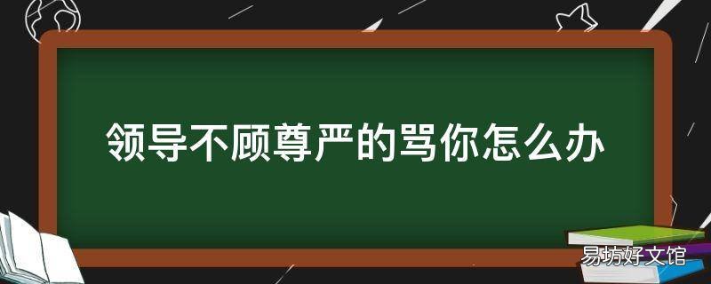 领导不顾尊严的骂你怎么办