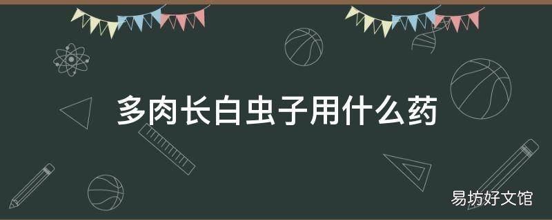 多肉长白虫子用什么药