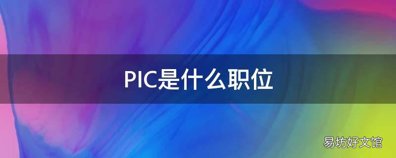 PIC是什么职位