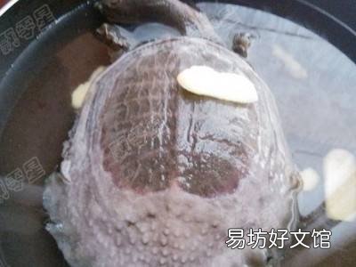 甲鱼汤怎么做好喝