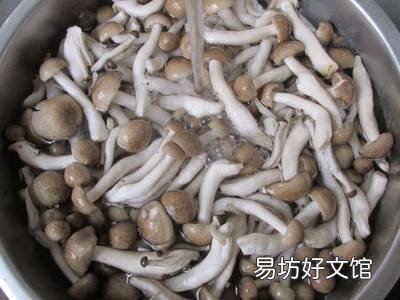 蟹味菇怎么吃