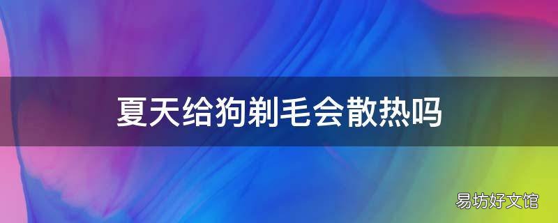 夏天给狗剃毛会散热吗