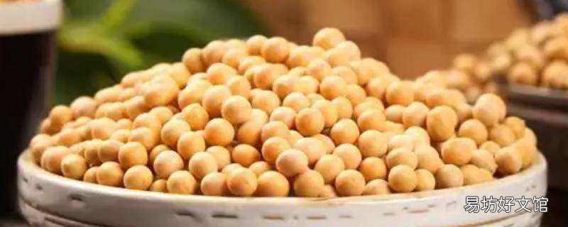 大豆磷脂是什么东西