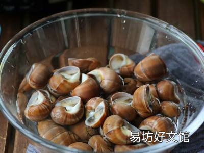 小香螺怎么做好吃