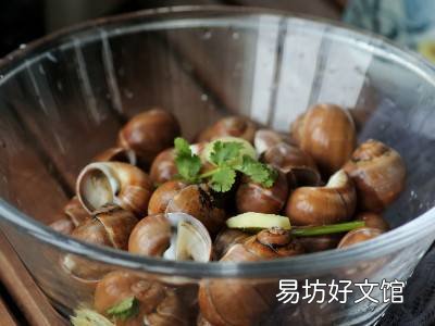 小香螺怎么做好吃