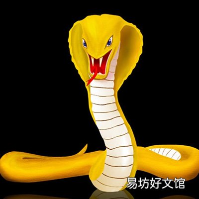 2016年最后一个月财运最佳的生肖会有你吗?