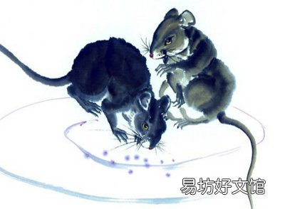 2016年最后一个月财运最佳的生肖会有你吗?