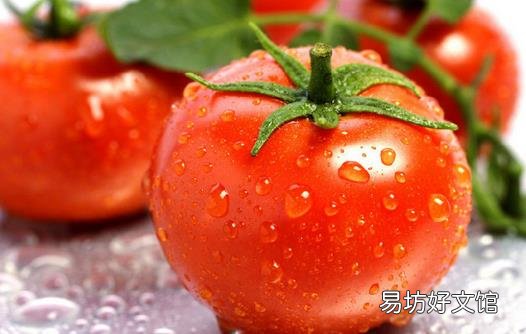 盘点吃西红柿的十大好处 什么时间吃西红柿好?