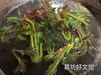 香椿头怎么吃