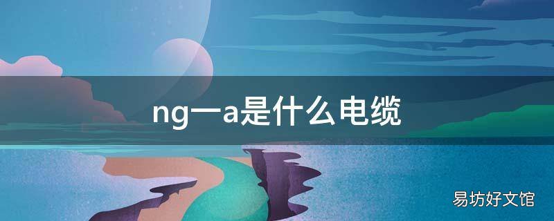 ng一a是什么电缆
