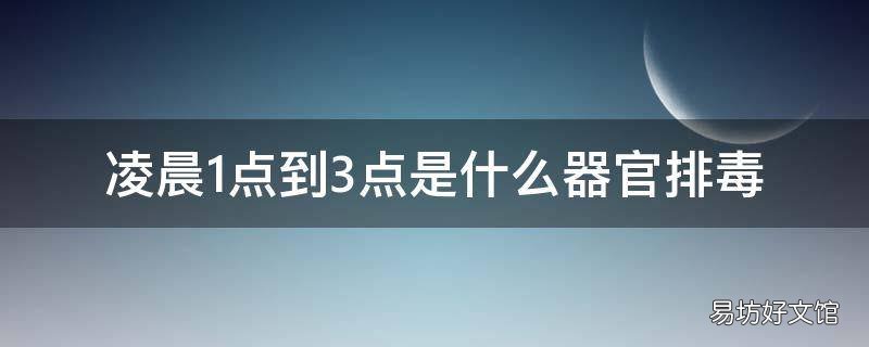 凌晨1点到3点是什么器官排毒