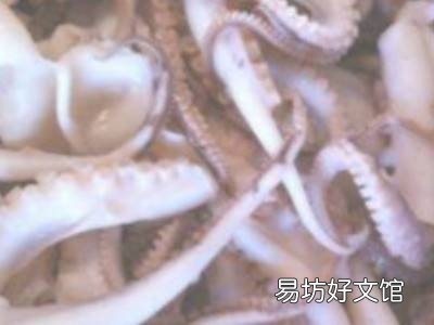 八爪鱼内脏怎么清理