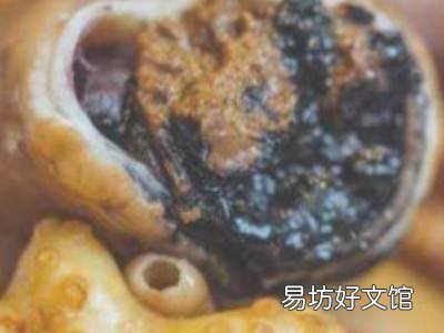 八爪鱼内脏怎么清理