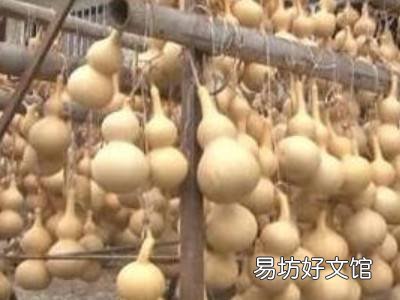 葫芦怎么做
