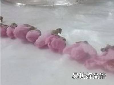桃花酿酒方法和步骤