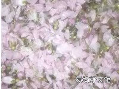 桃花酿酒方法和步骤